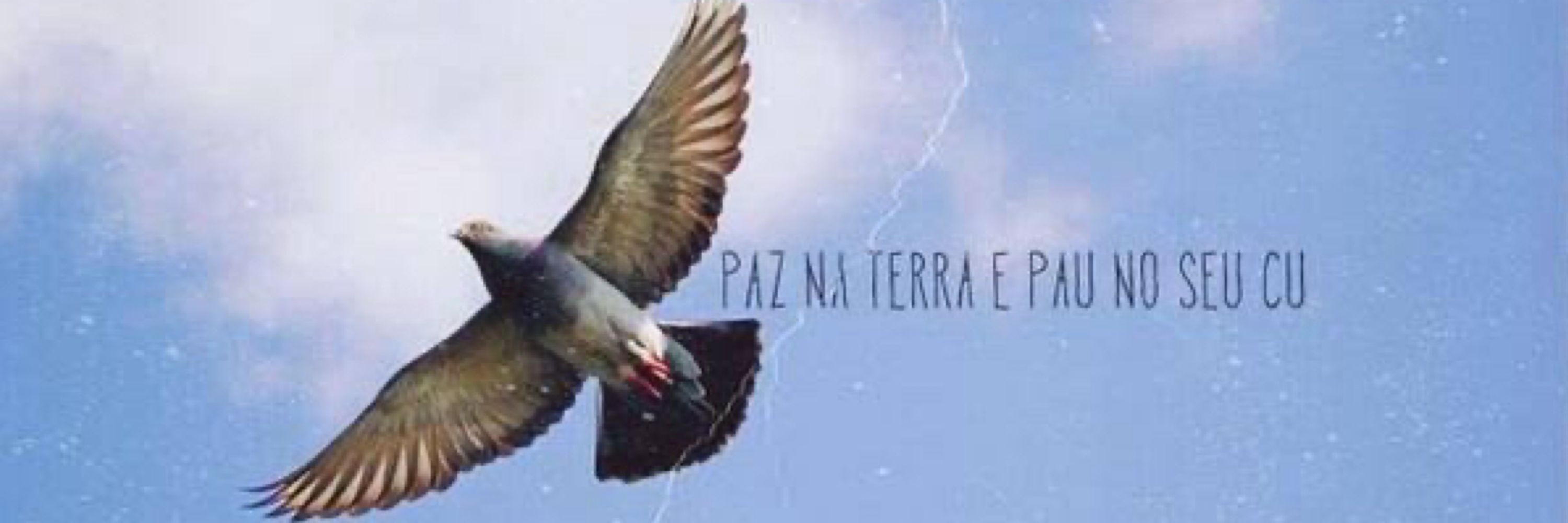 nádia