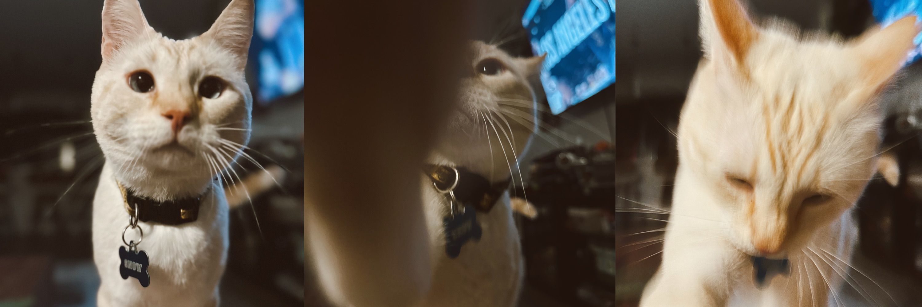 j 🌱