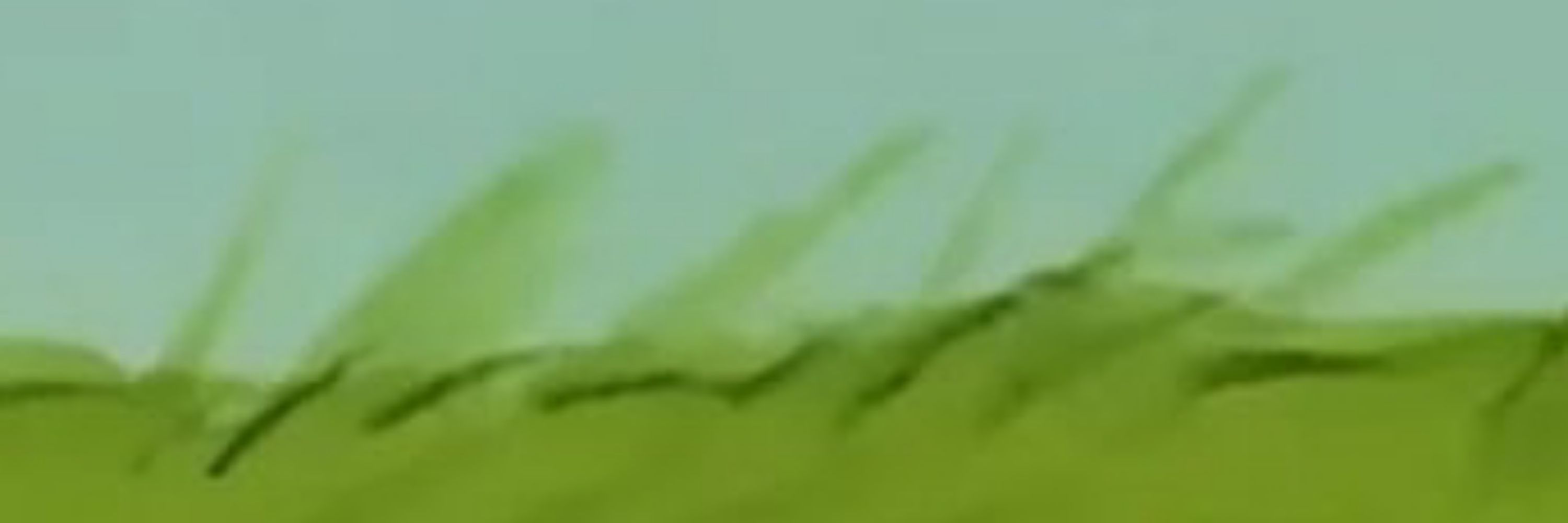 min