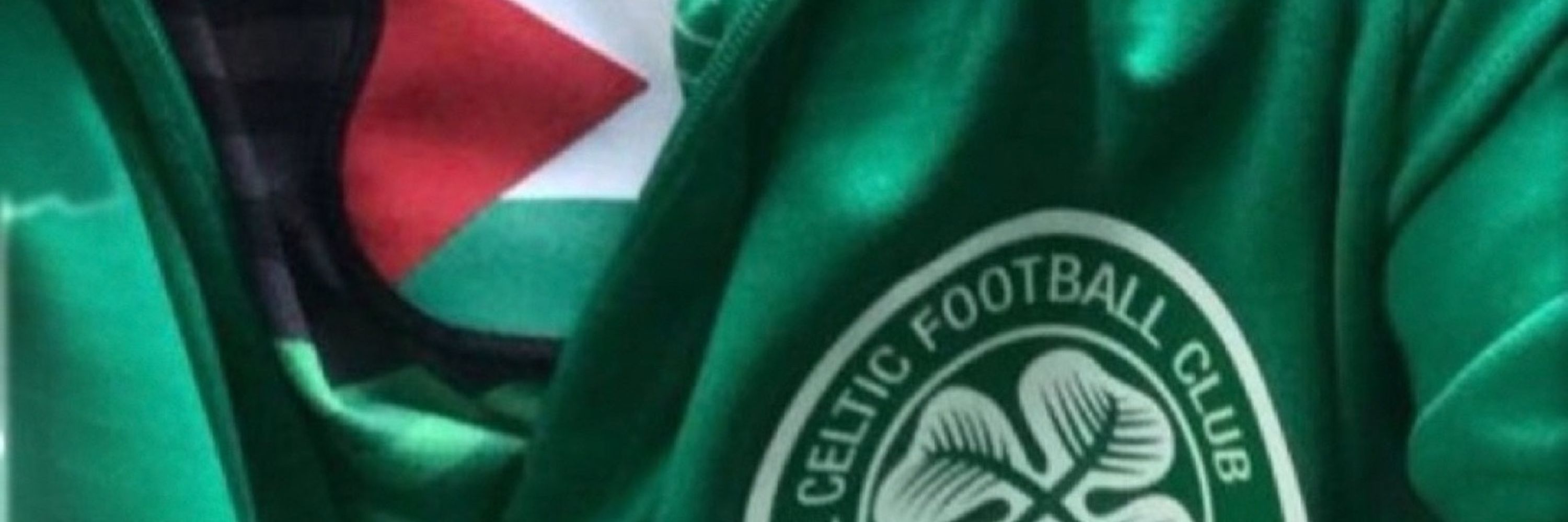 sdceltic1 Steve M