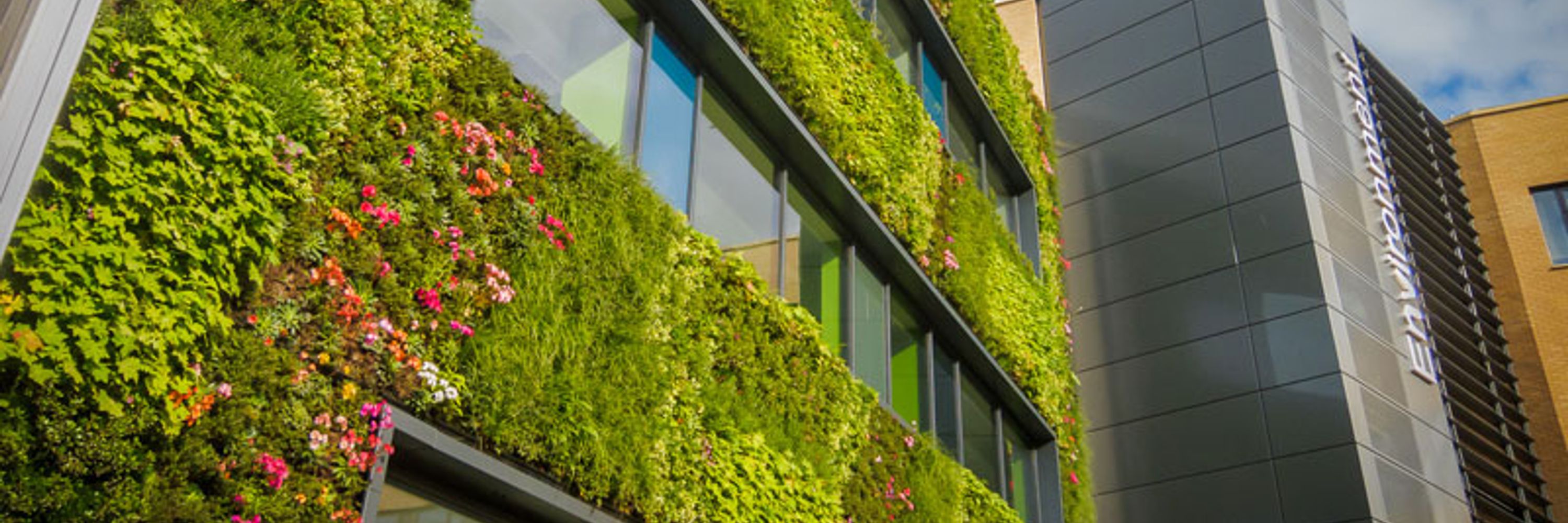 Department of Environment and Geography