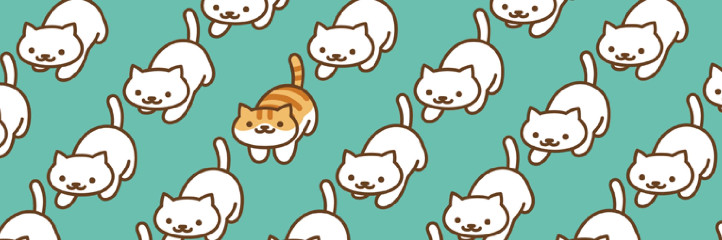まぴち🐈‍⬛🦉