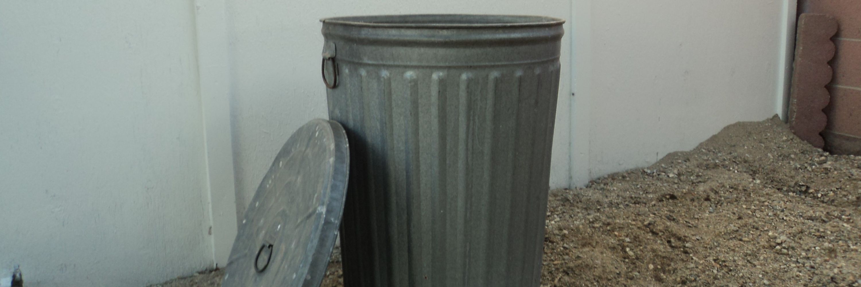 TrashNoodle