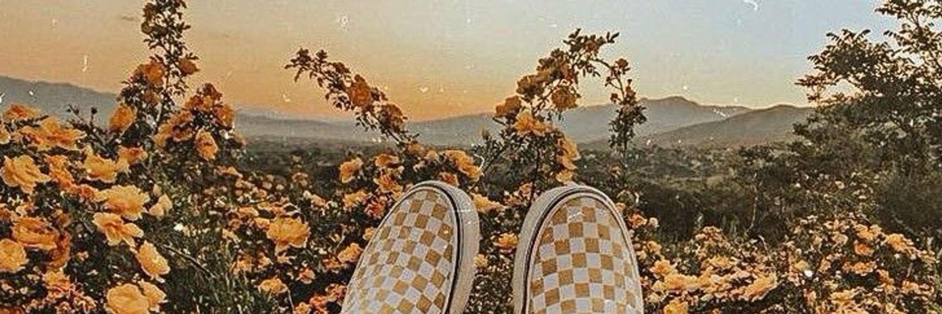 Leo🌻