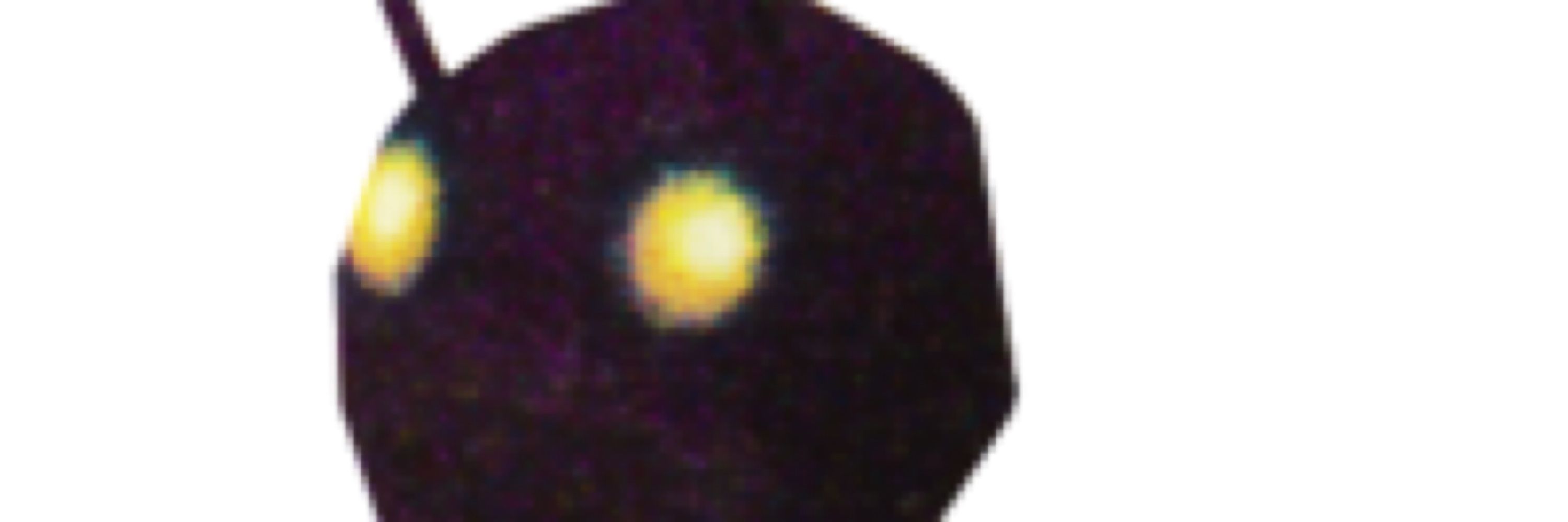 Crub