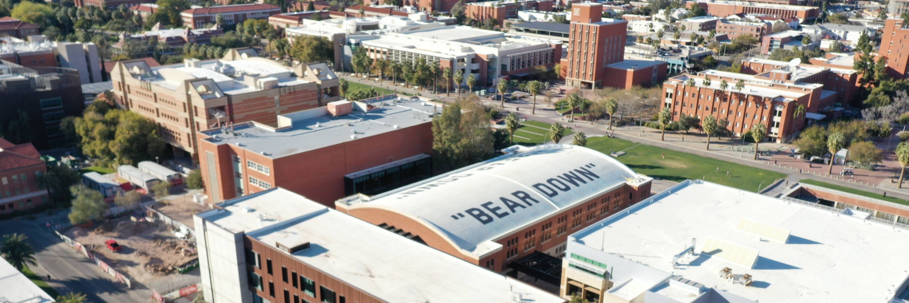 UofA International Security Studies