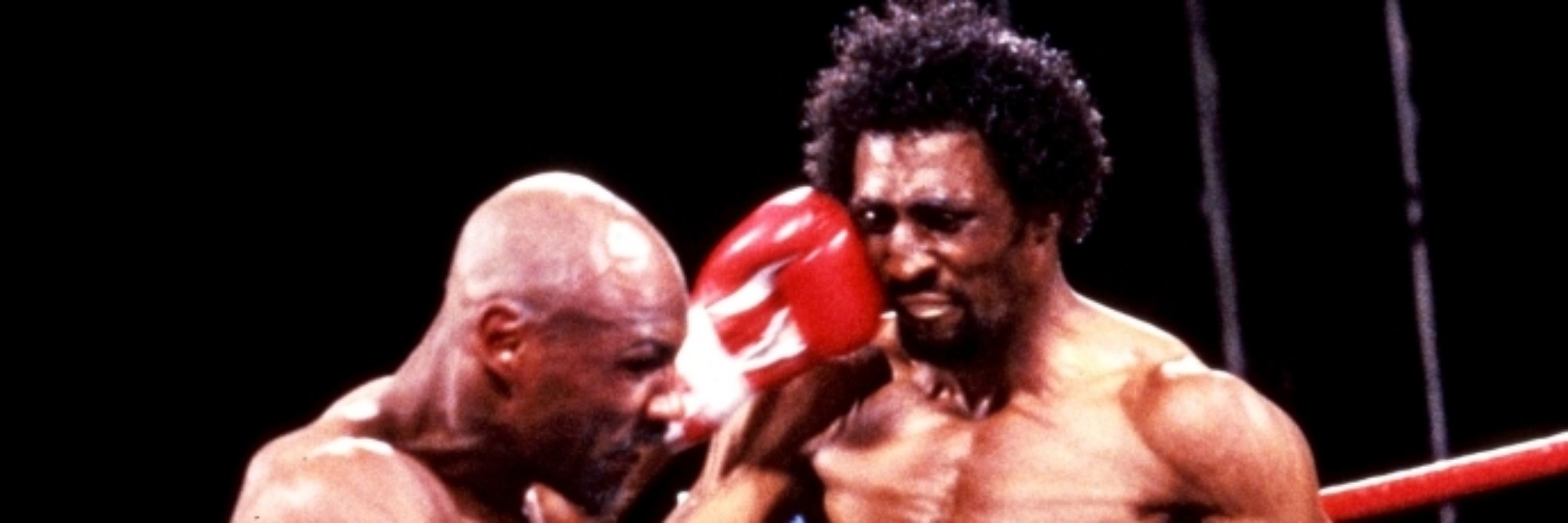 The Boxing Mad Man