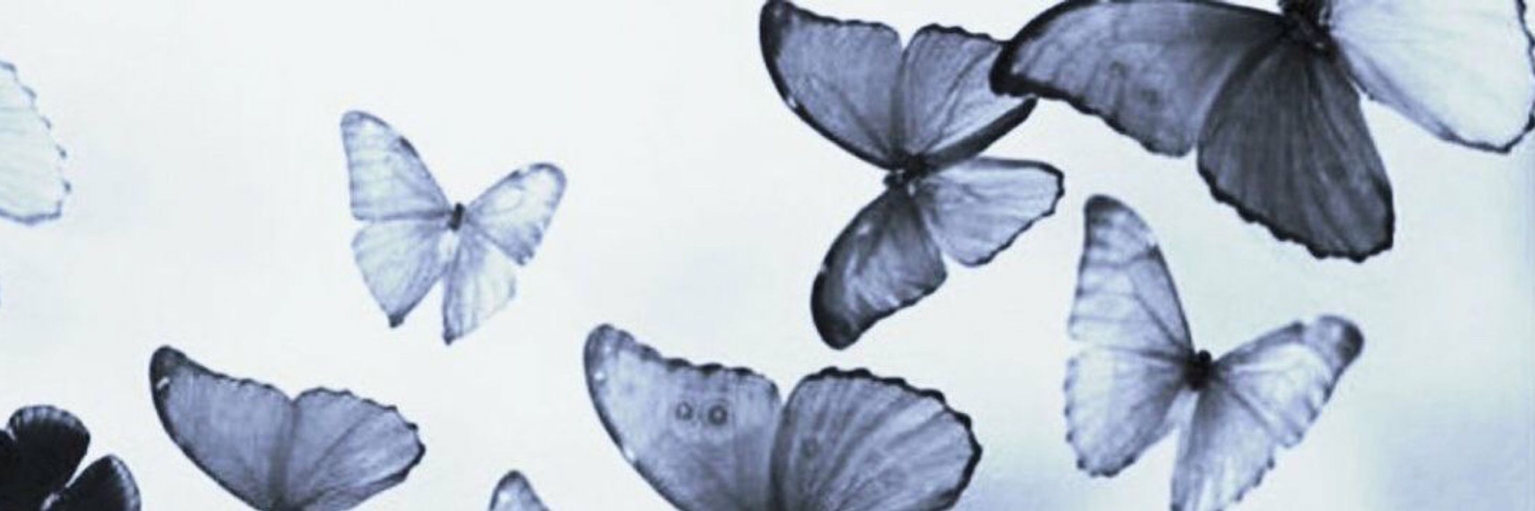 edi 🌱