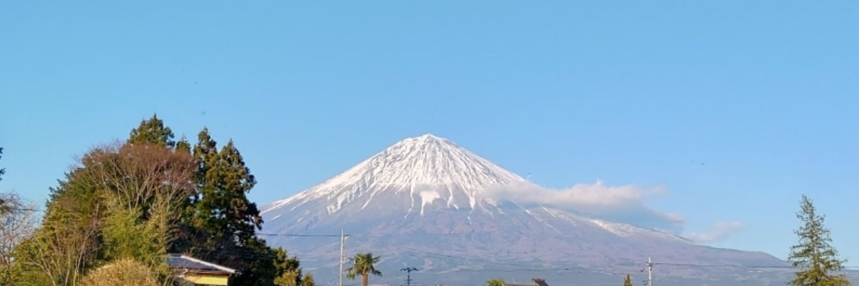つちまん