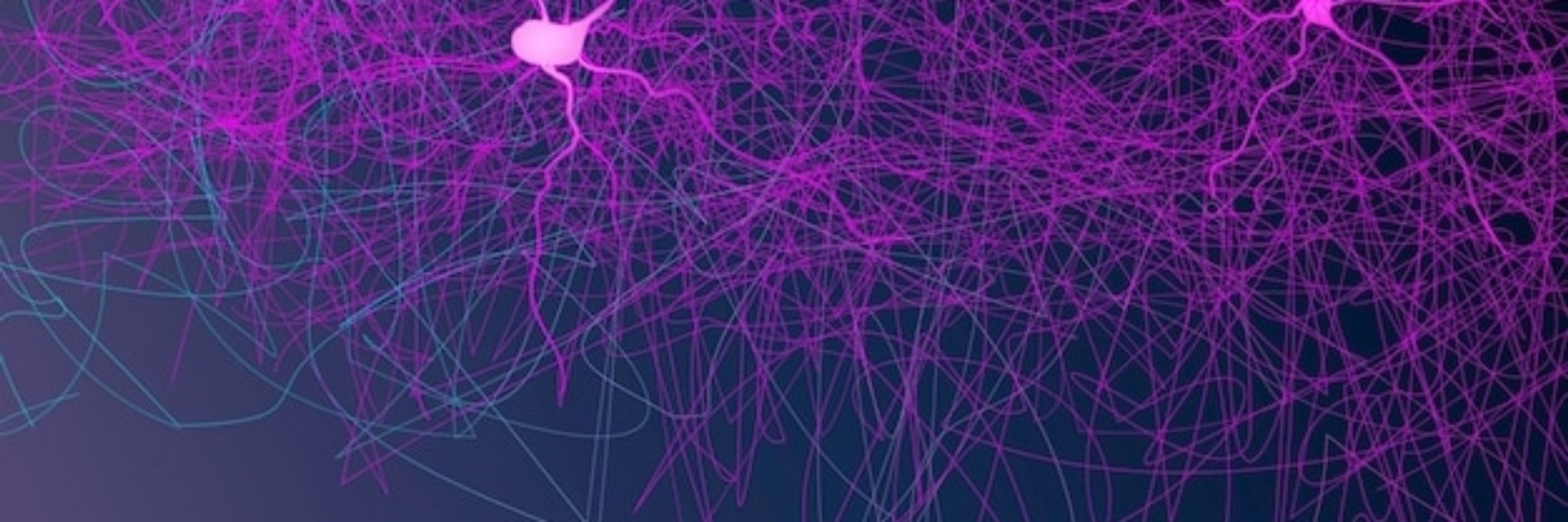 NeuroticNHP