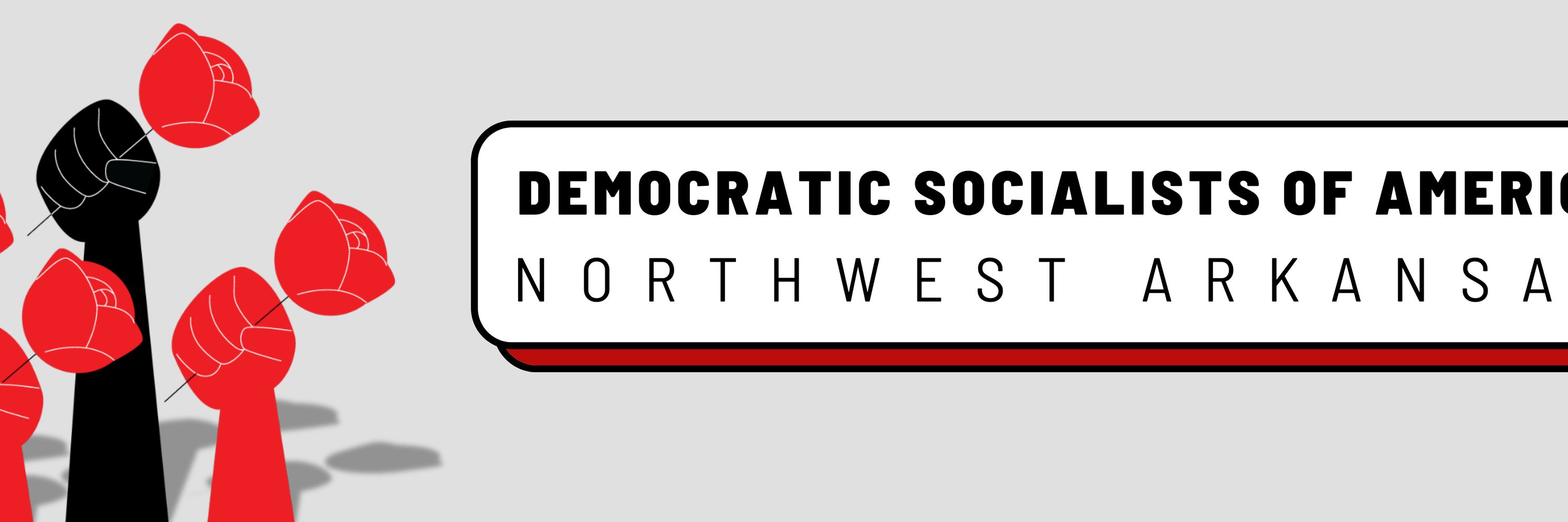 Northwest Arkansas DSA | NWA DSA