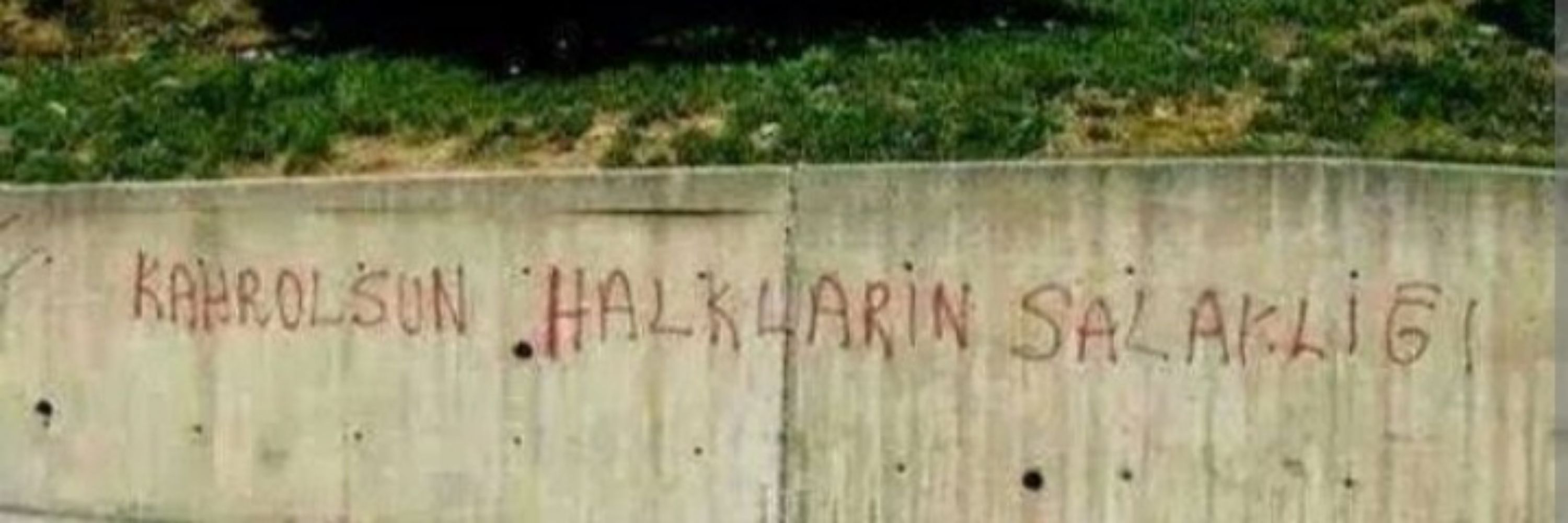 İpekİpek
