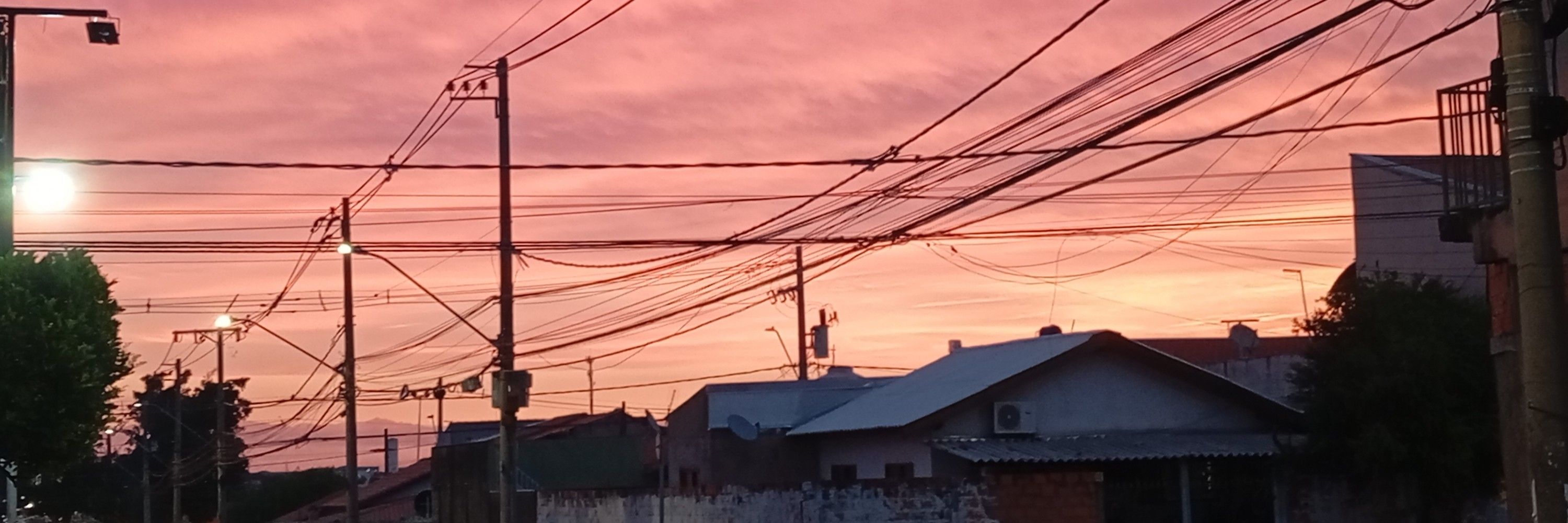 tatinha