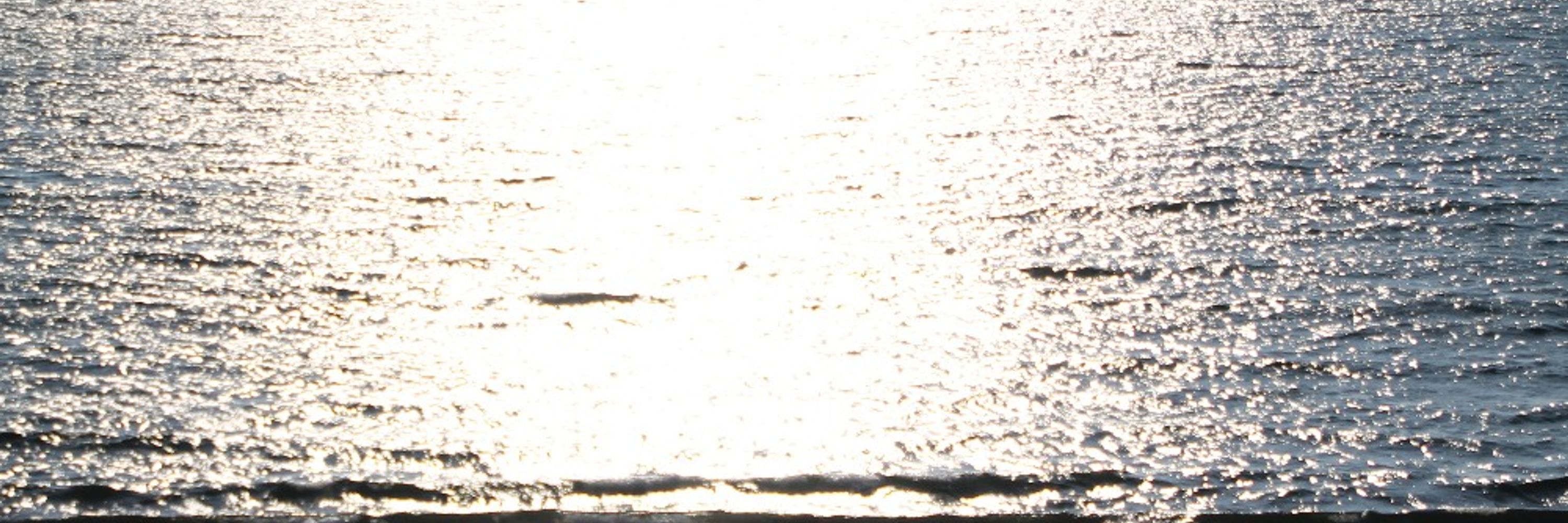 TAKAHASHI Taro