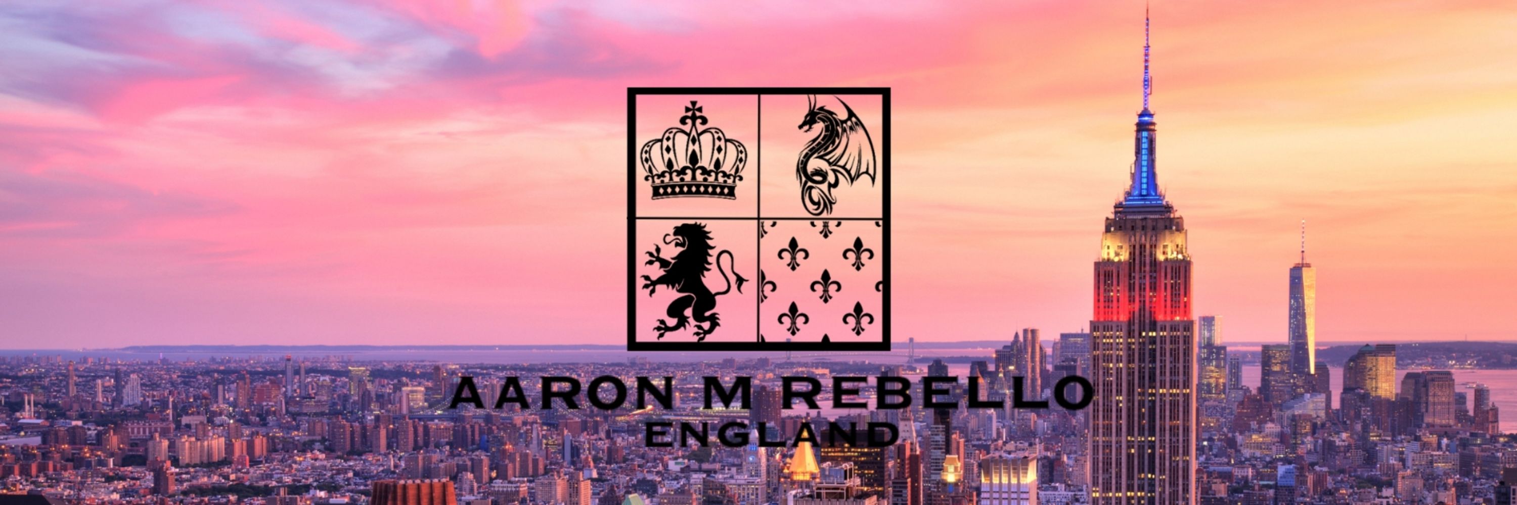 Aaron M Rebello