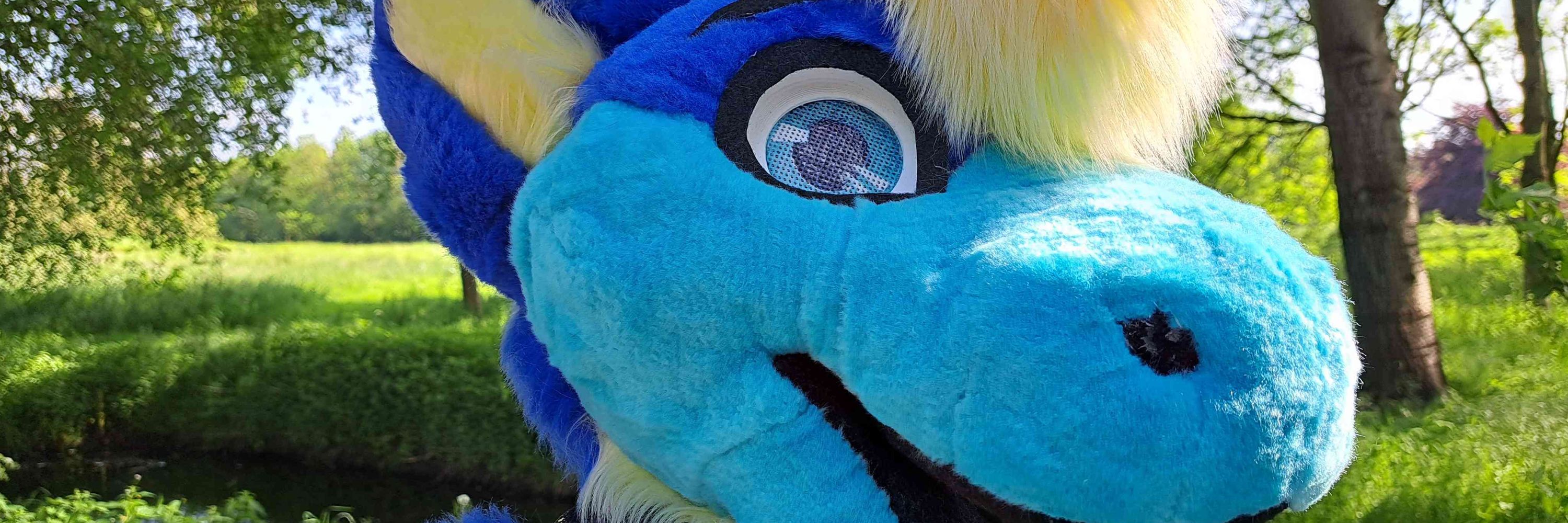 Aoi the Dutchie 🔜 CFz