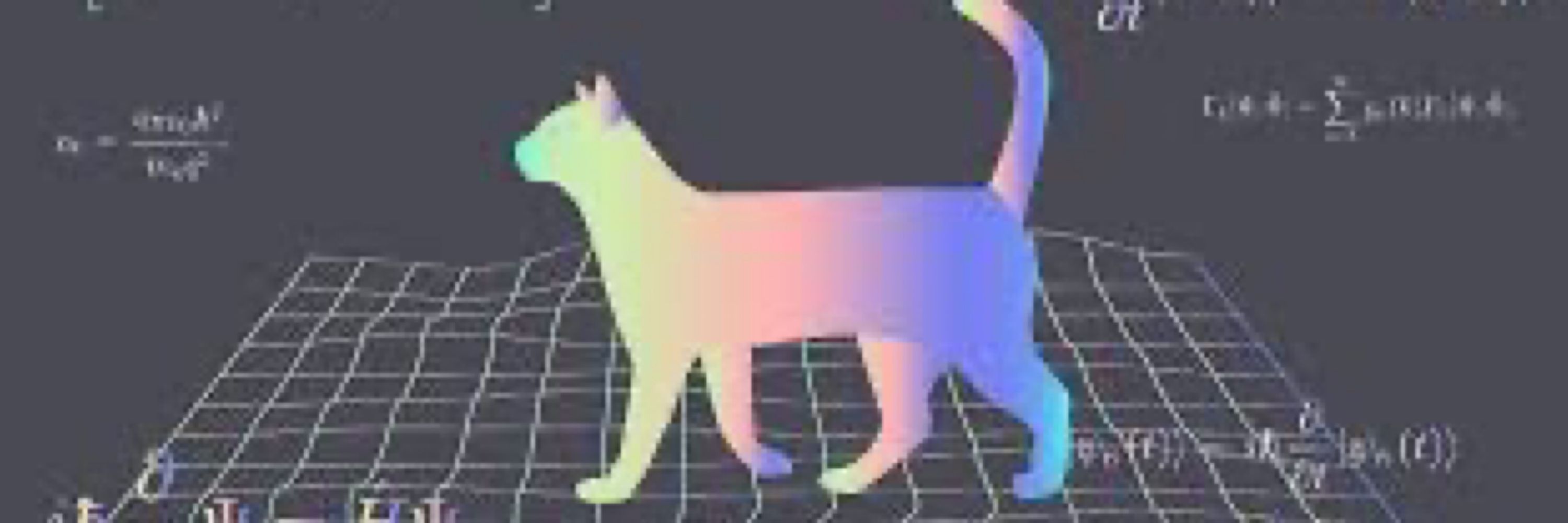 Gender Superposition