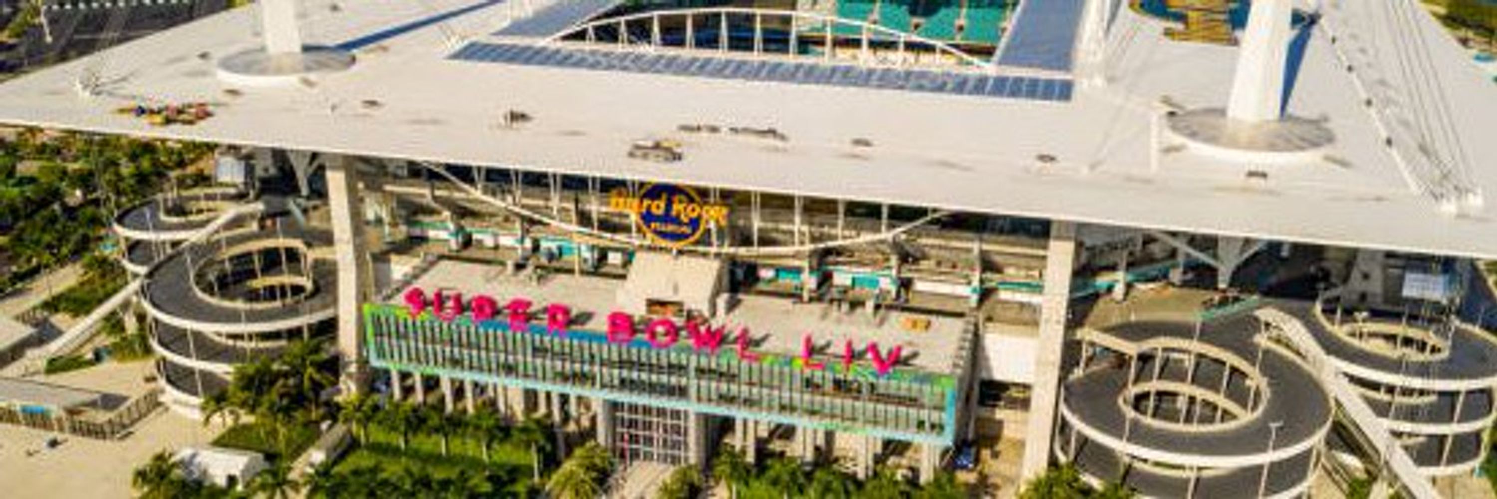 Miami Dolphins Fans