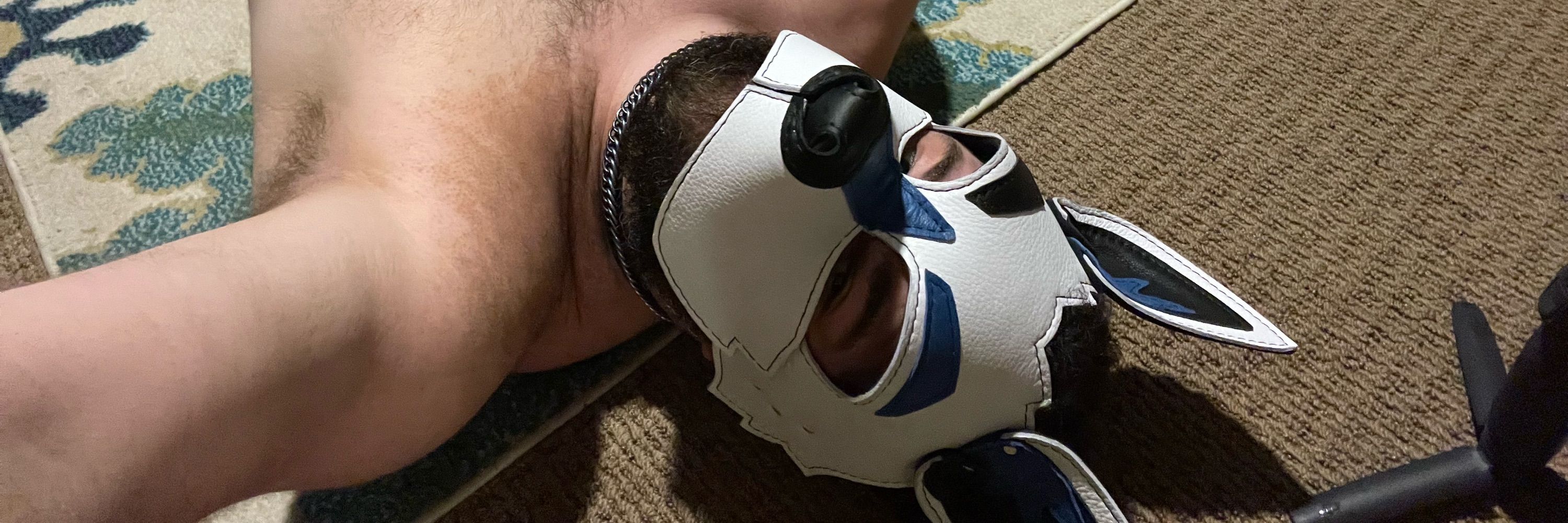 Certified Big Pup Iso