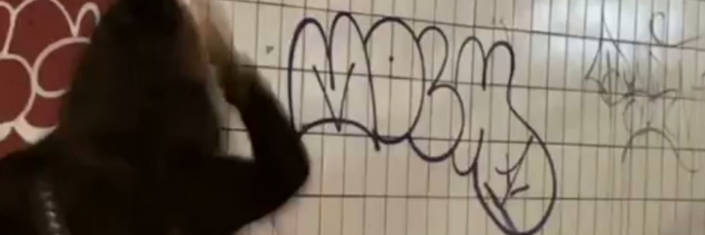 geo