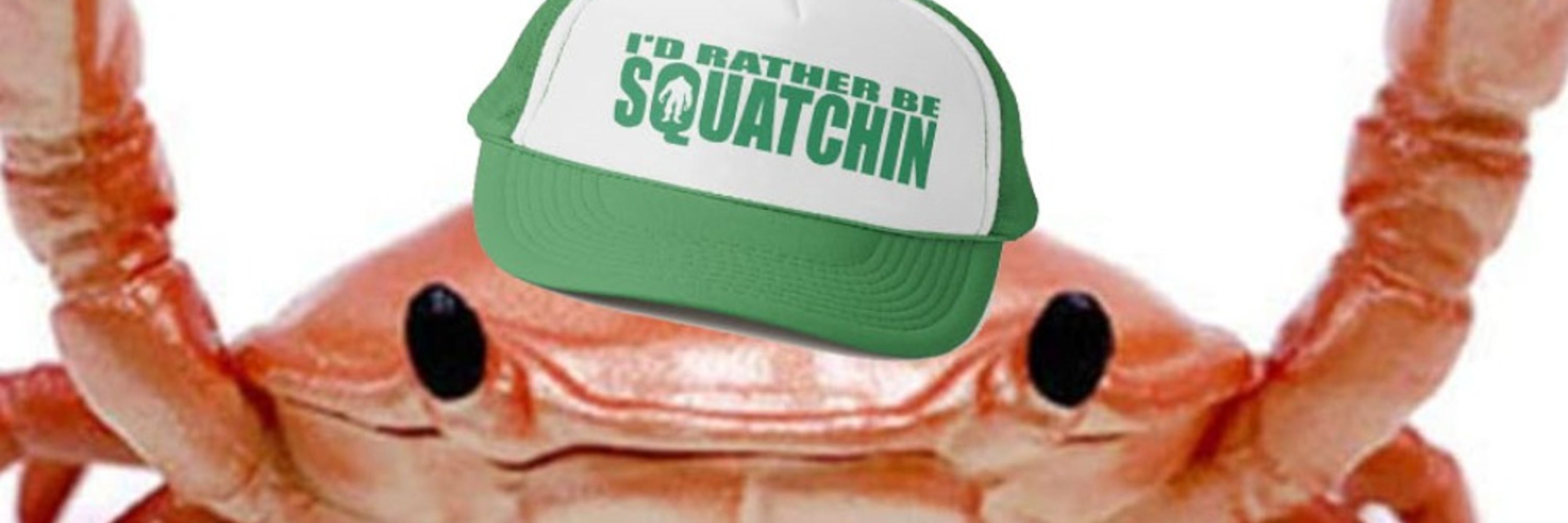 oneneatcat