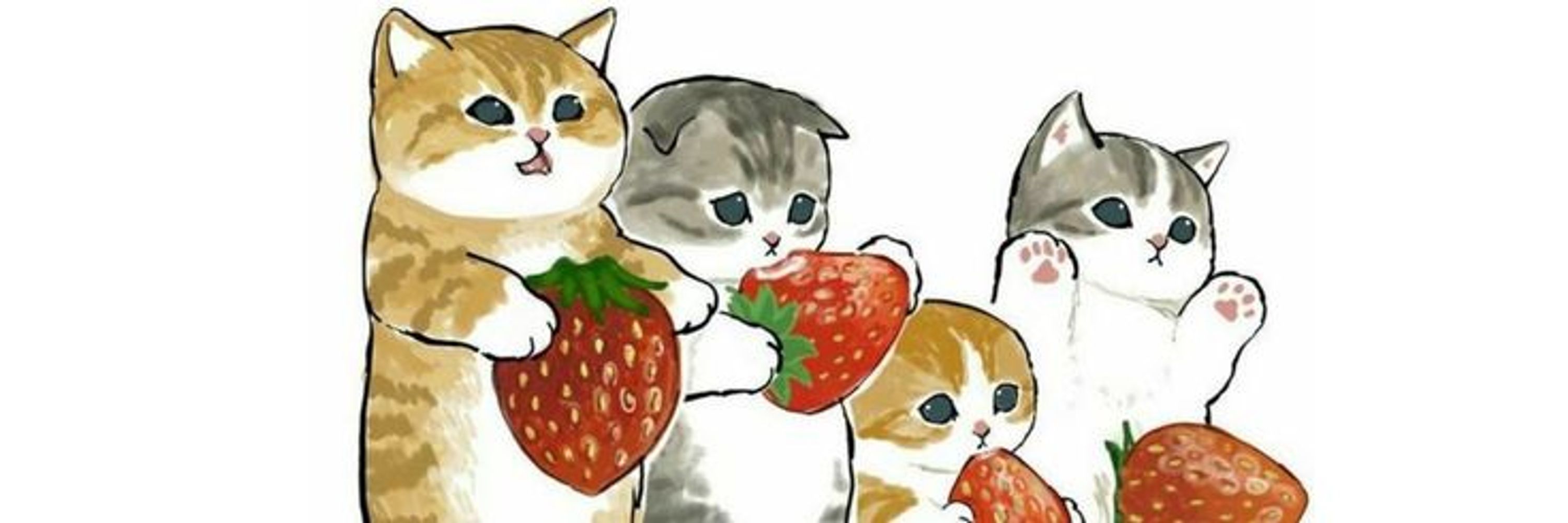 Venus 🎀🍓