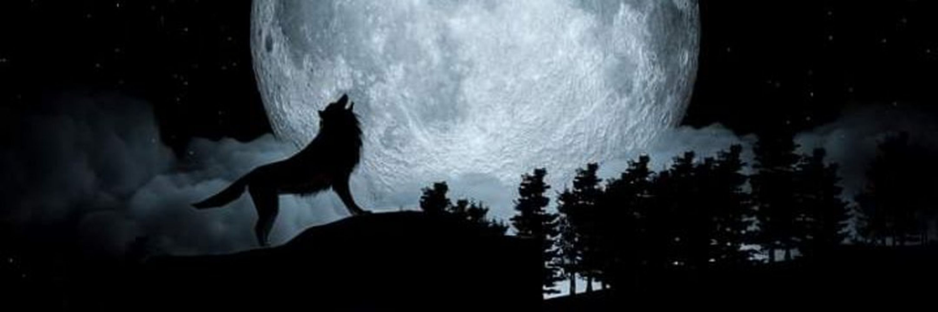 🔞 RagnarWerewolf 🔞