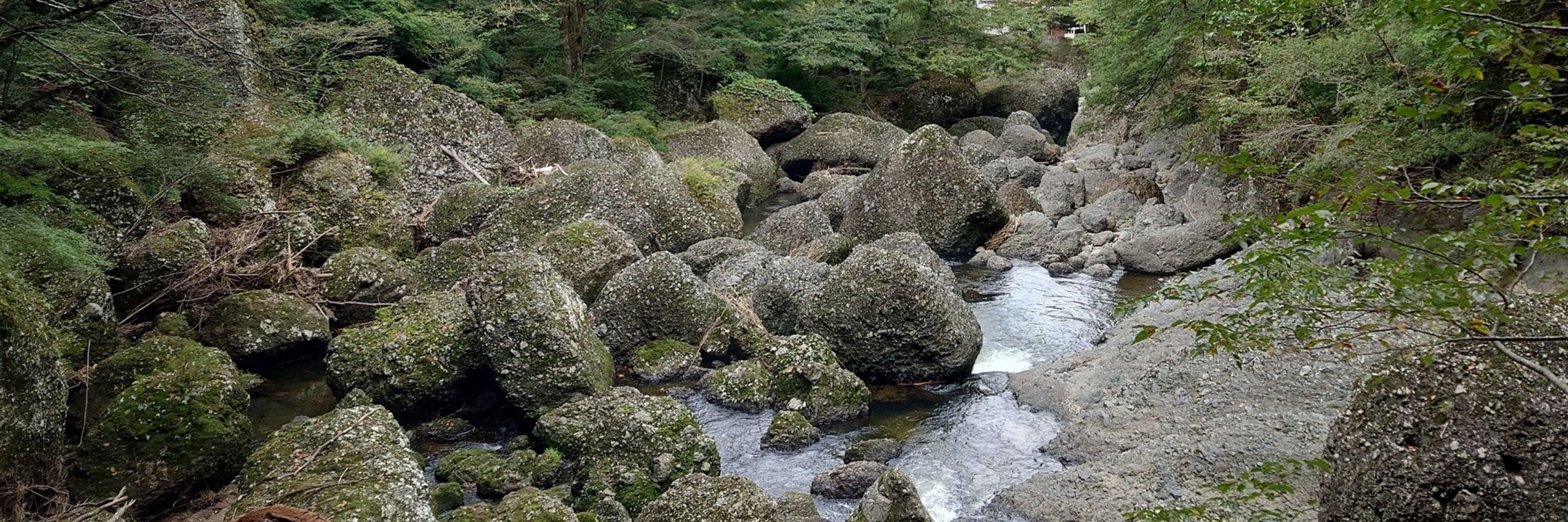 はる
