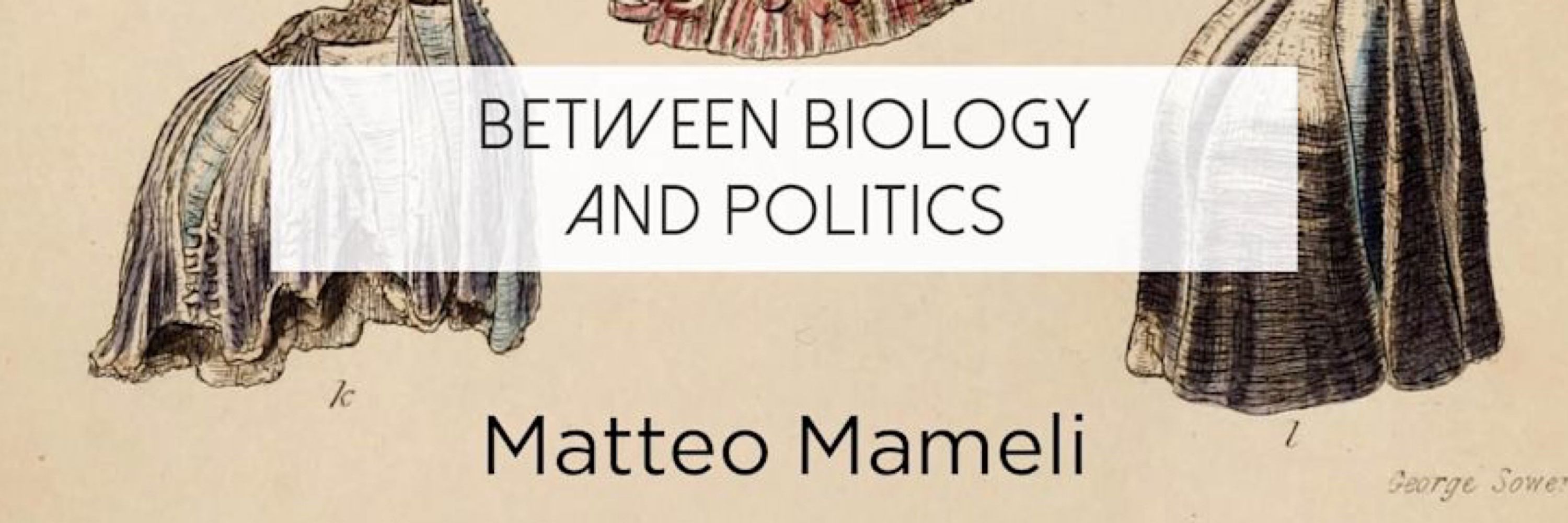 Matteo Mameli