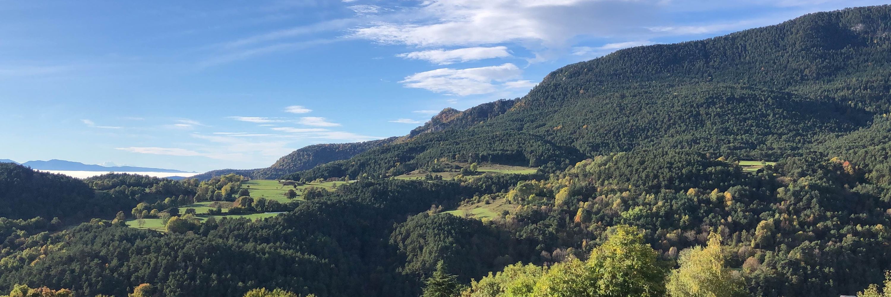 Mònica Pagès