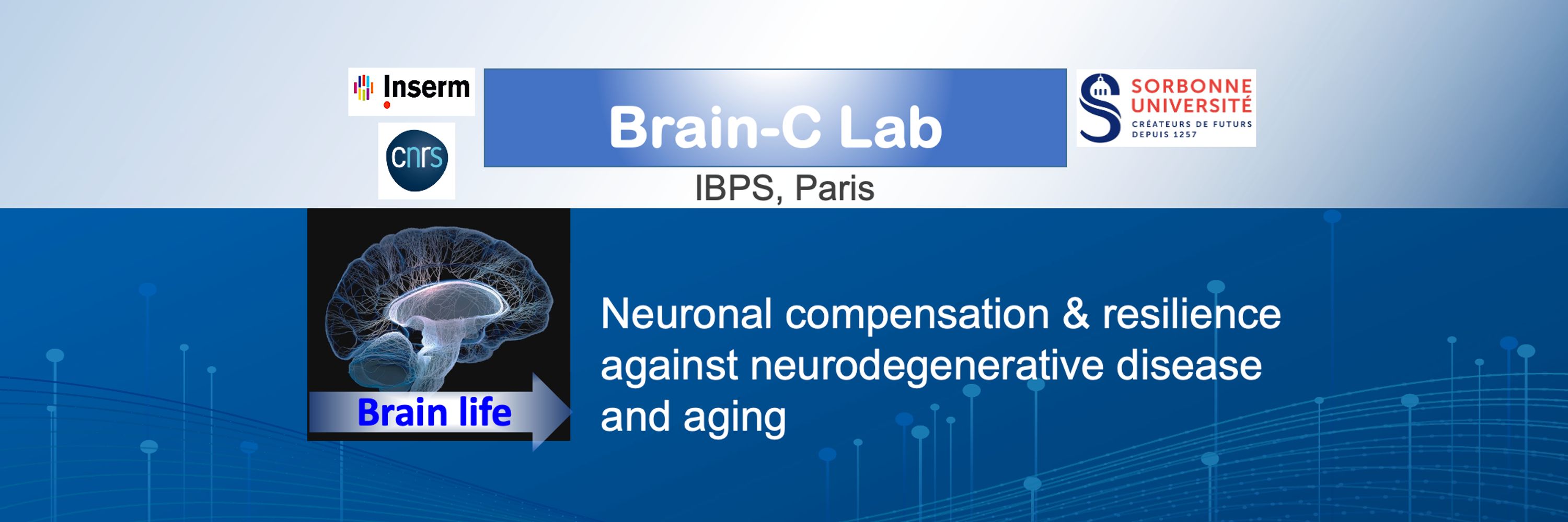 Christian Neri Lab, Paris - France