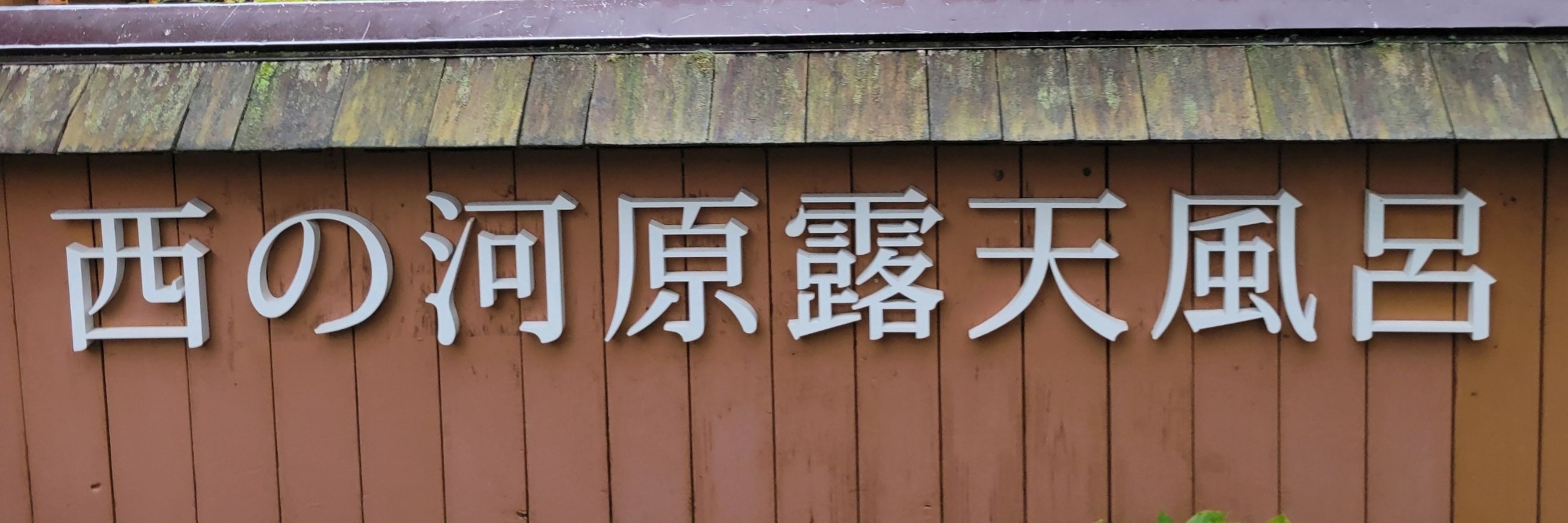 お名前募集中