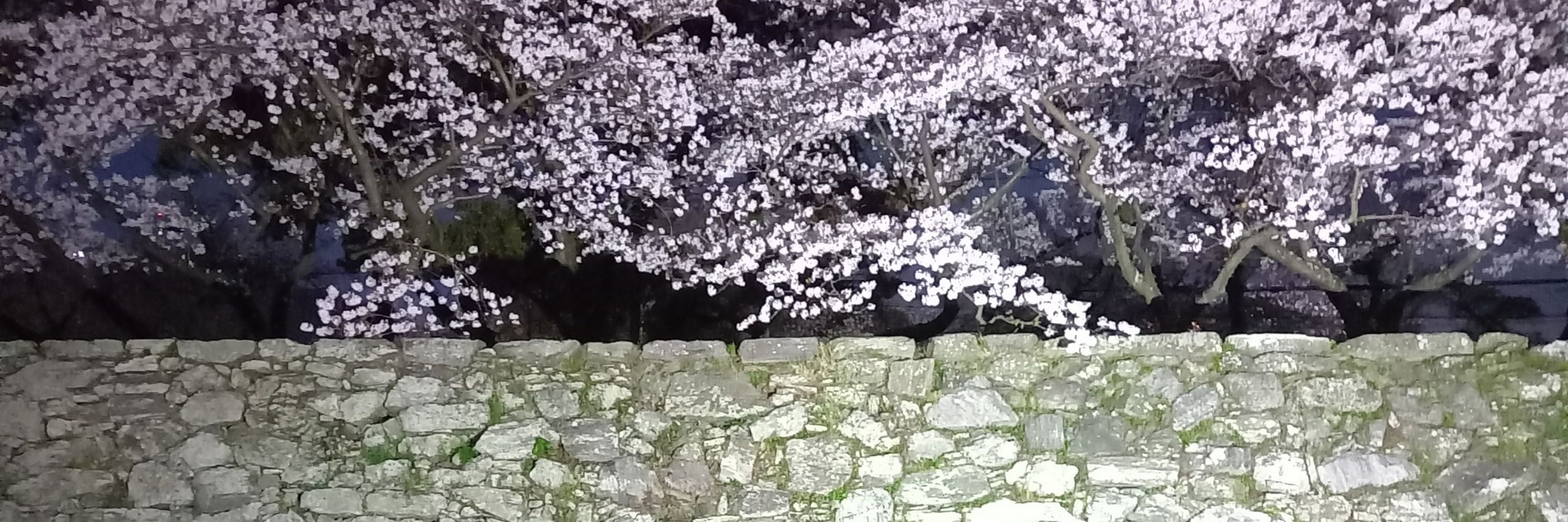 すはる