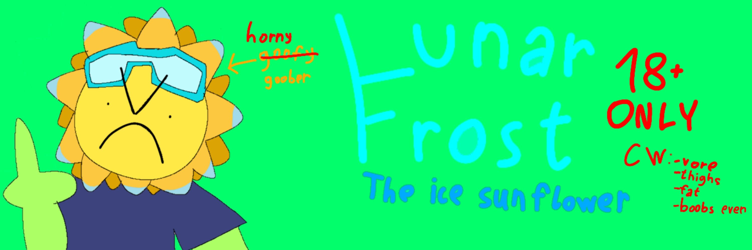 Lunar Frost