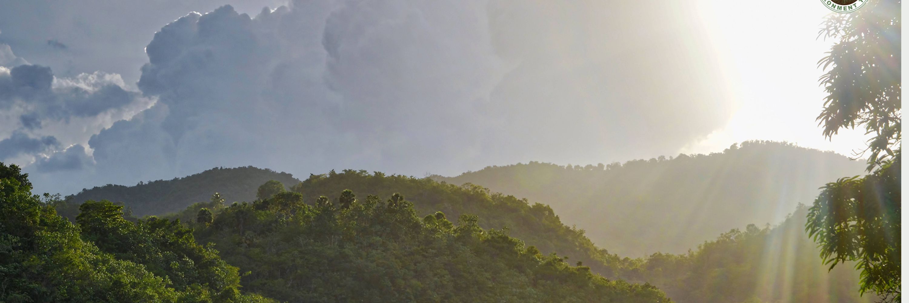 Jamaica Environment Trust