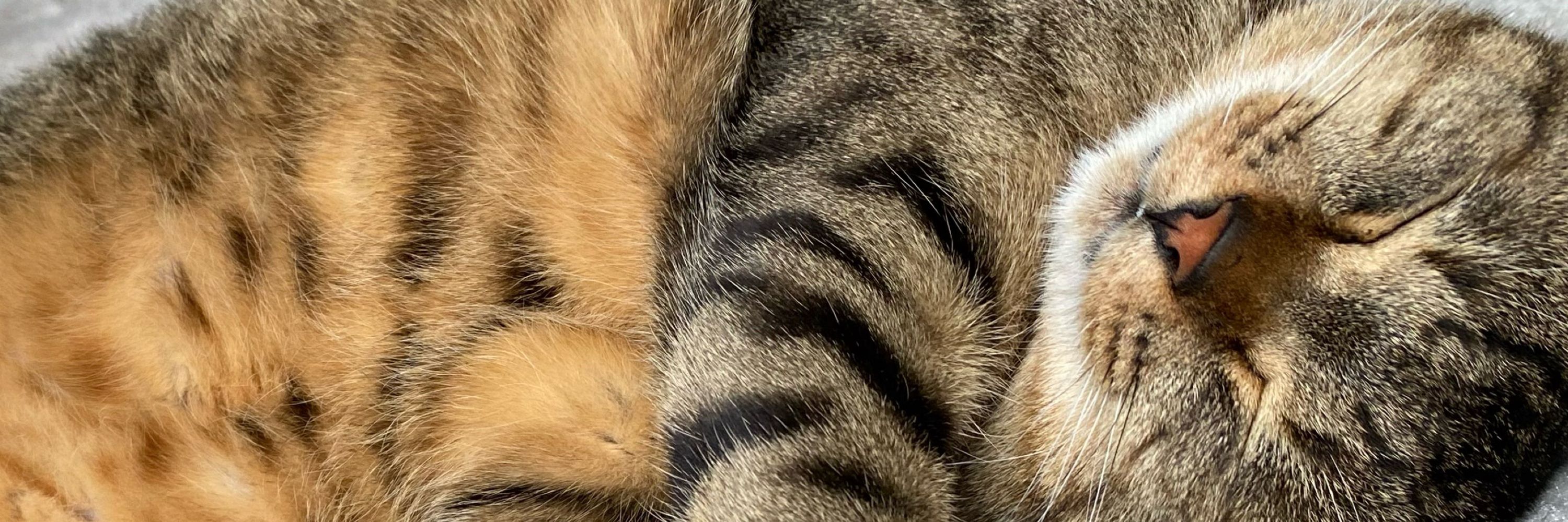 373