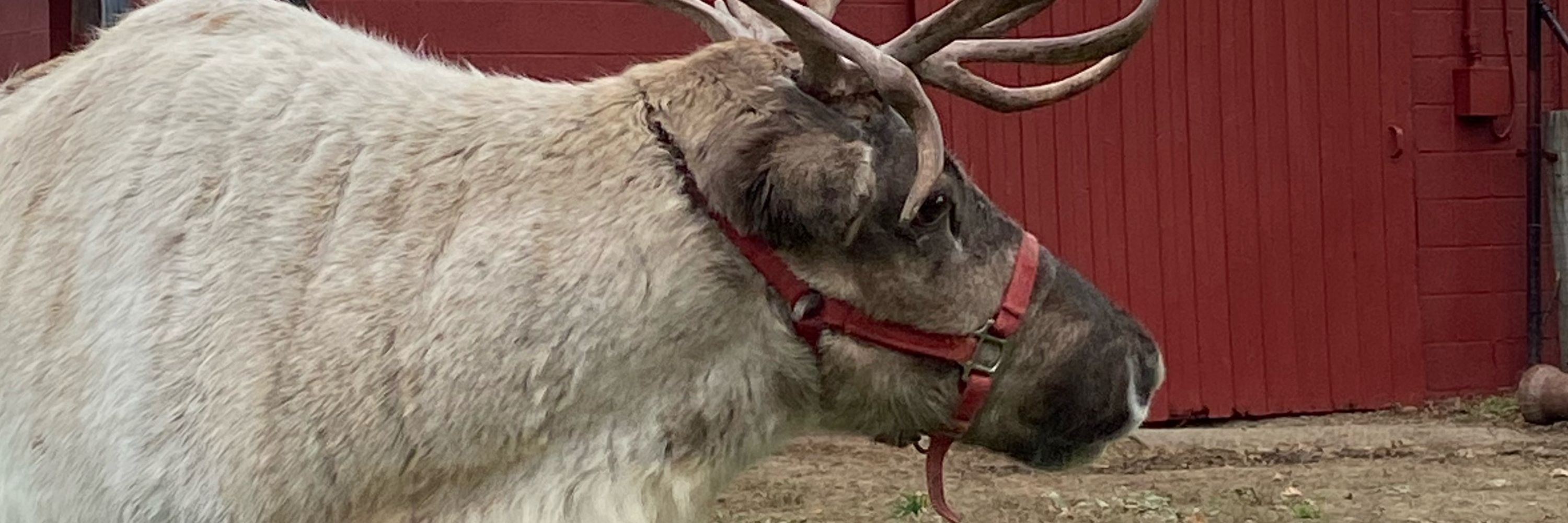 Memaw Claus