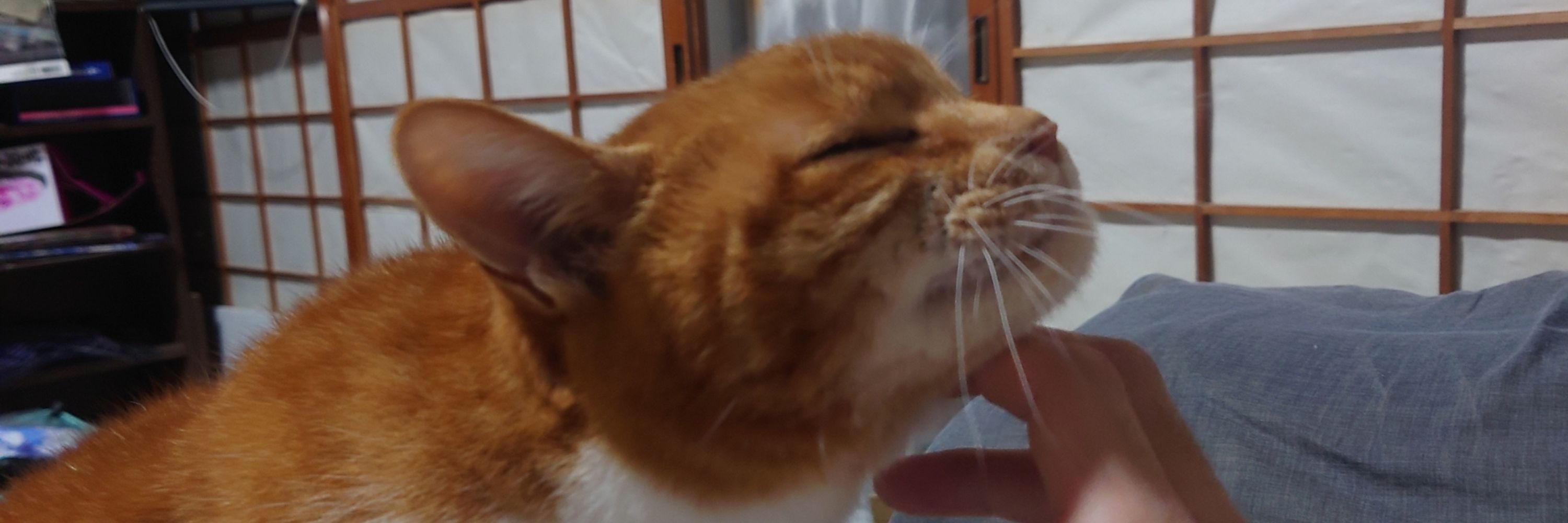 ミロ