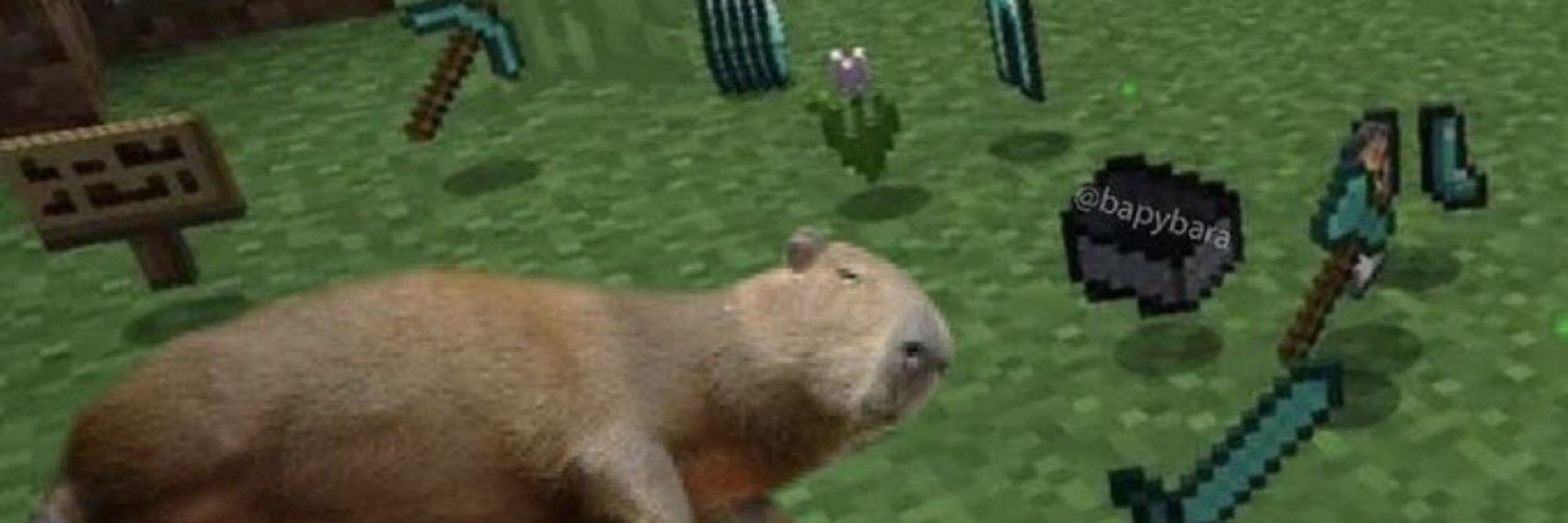 콤콤