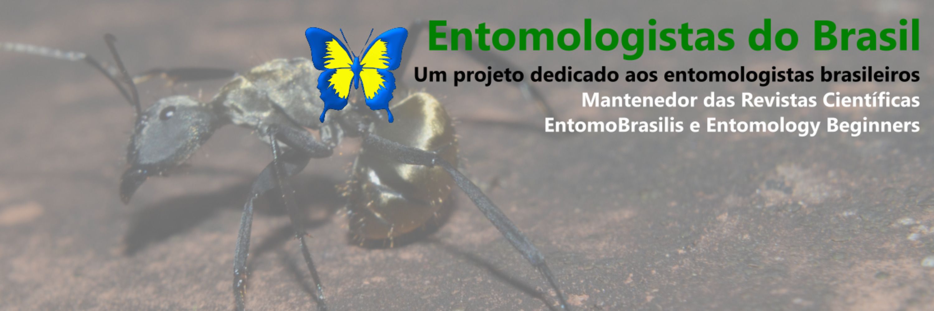 Entomologistas do Brasil