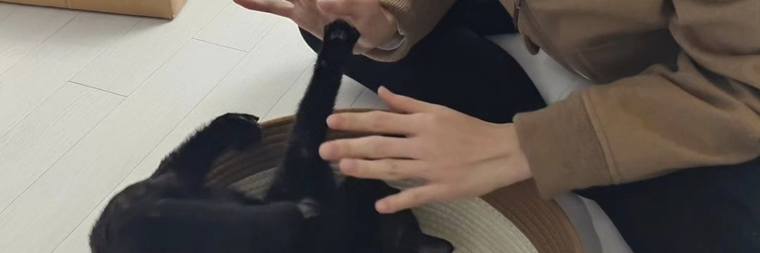 ✶