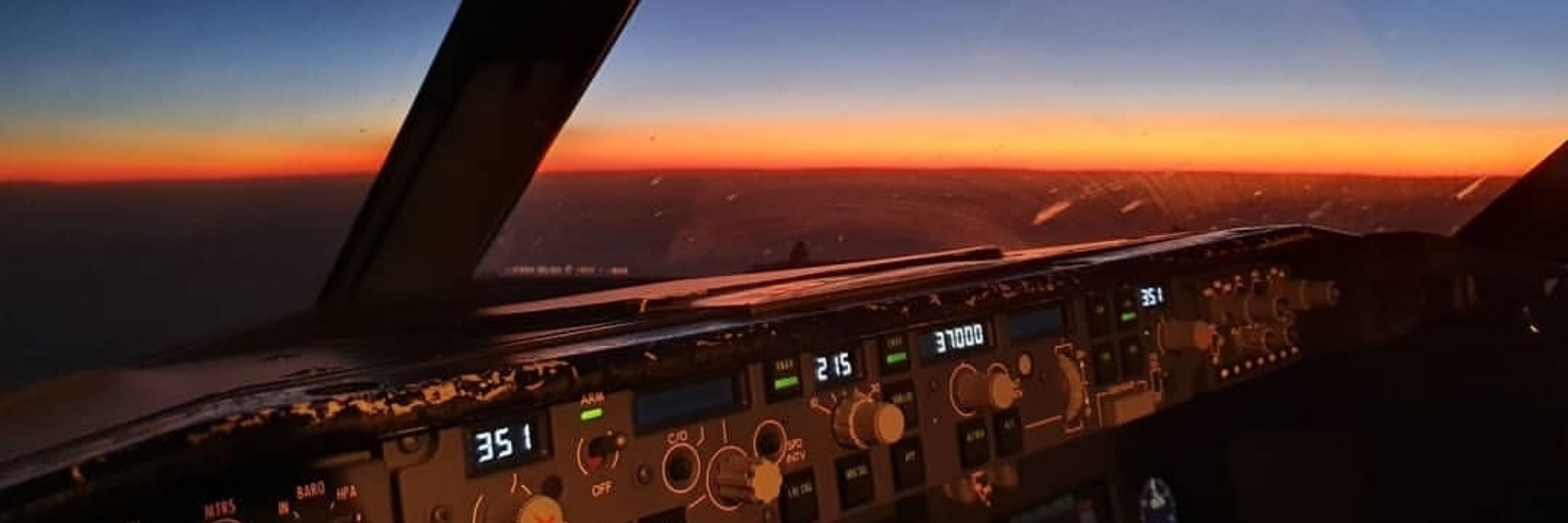 Pilot's View