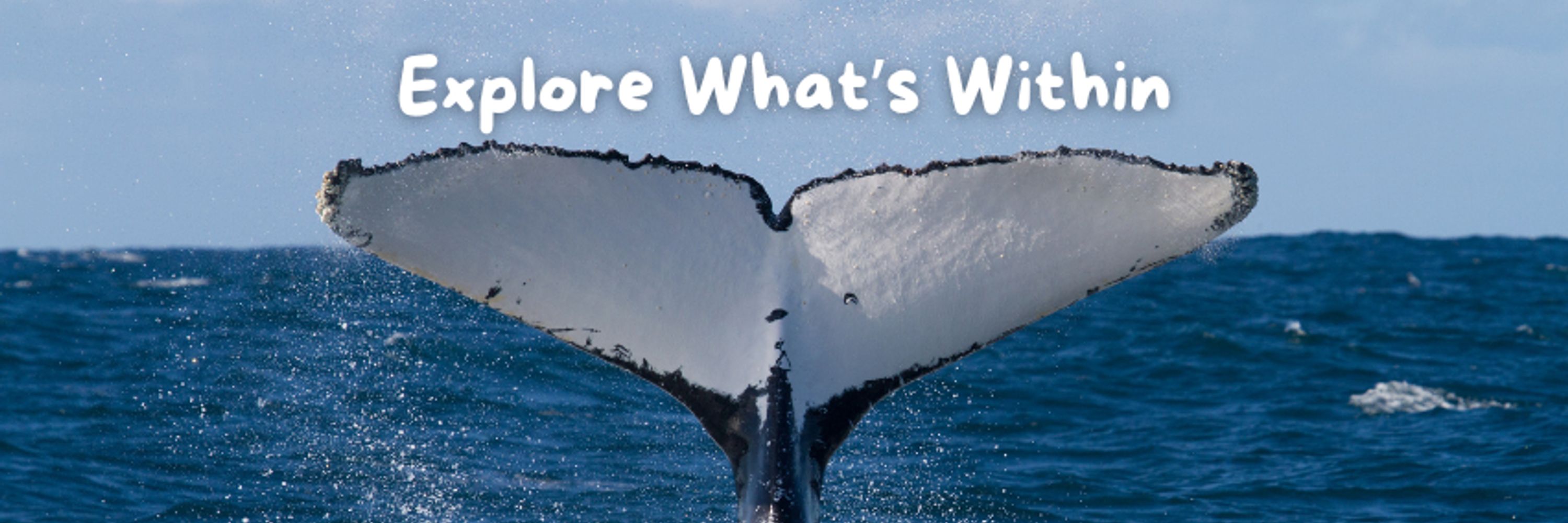 Within the Whale