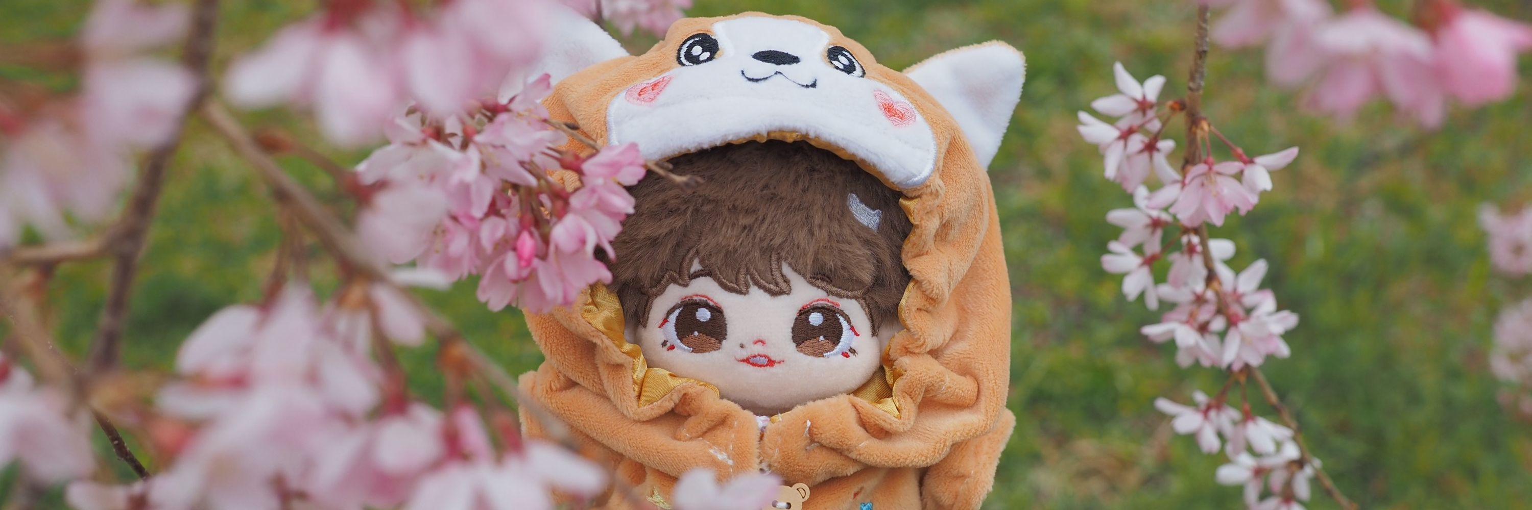 藍瑤