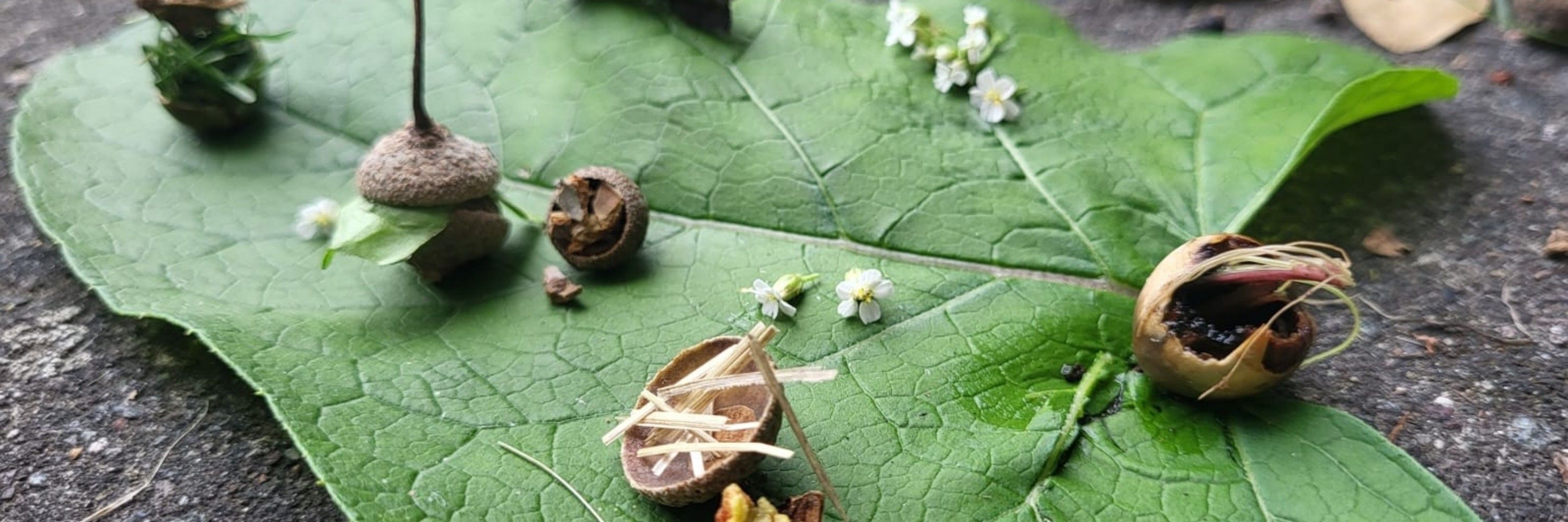 Hermetischer Gulasch