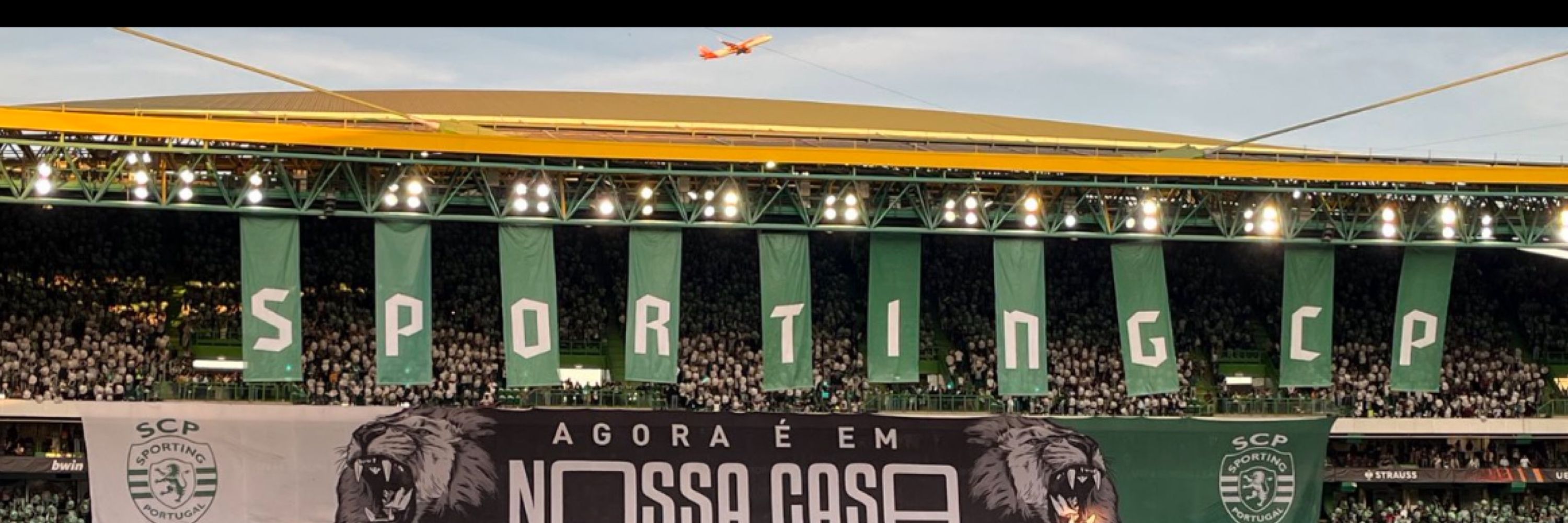 Mariana Cordeiro Ferreira 