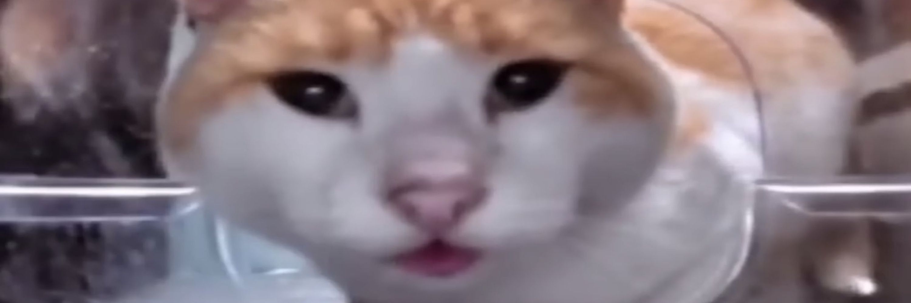 pdro