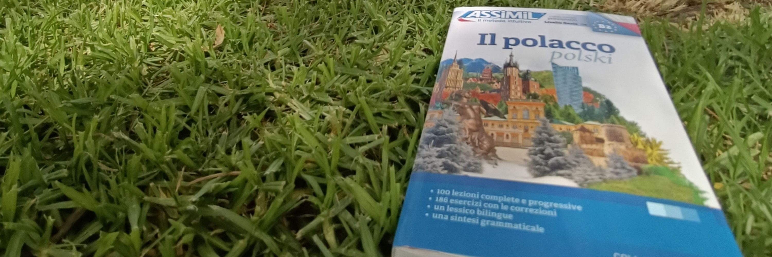 Something Polyglot