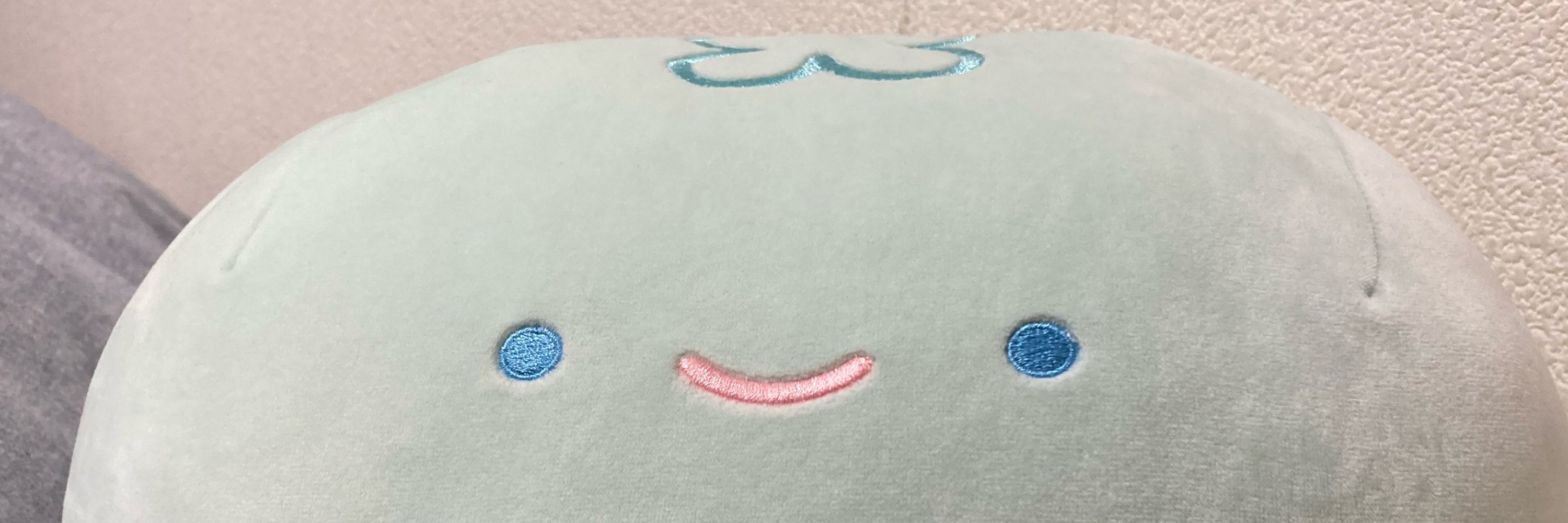 志摩