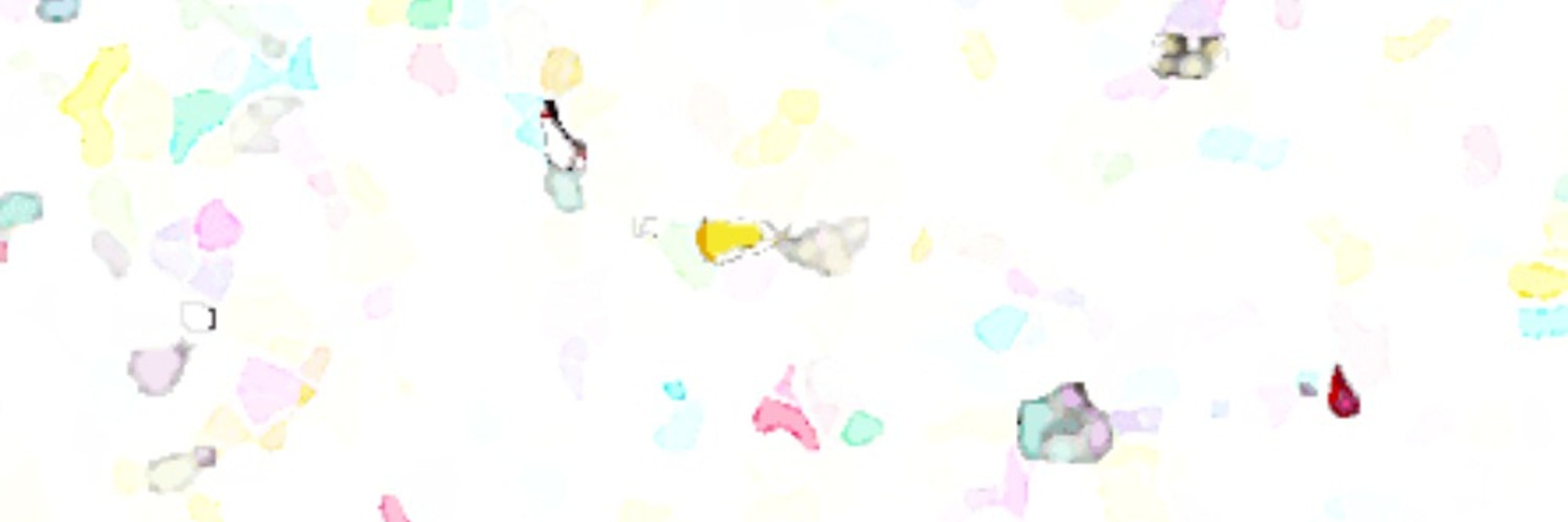 橘花